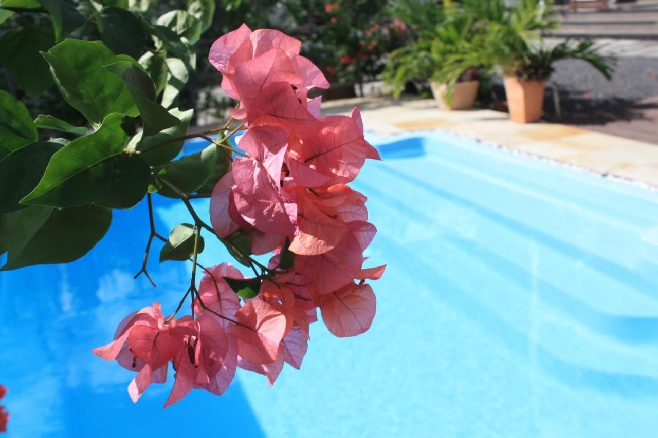 Roi Holiday Stay Гранд Байе Екстериор снимка